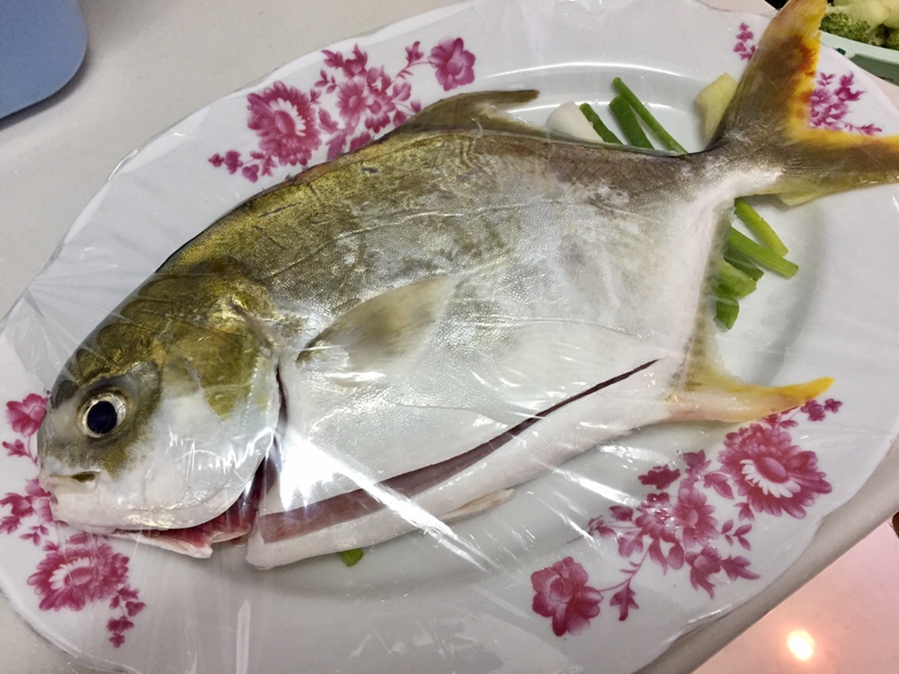 Pomfret 黃𩶘䱽