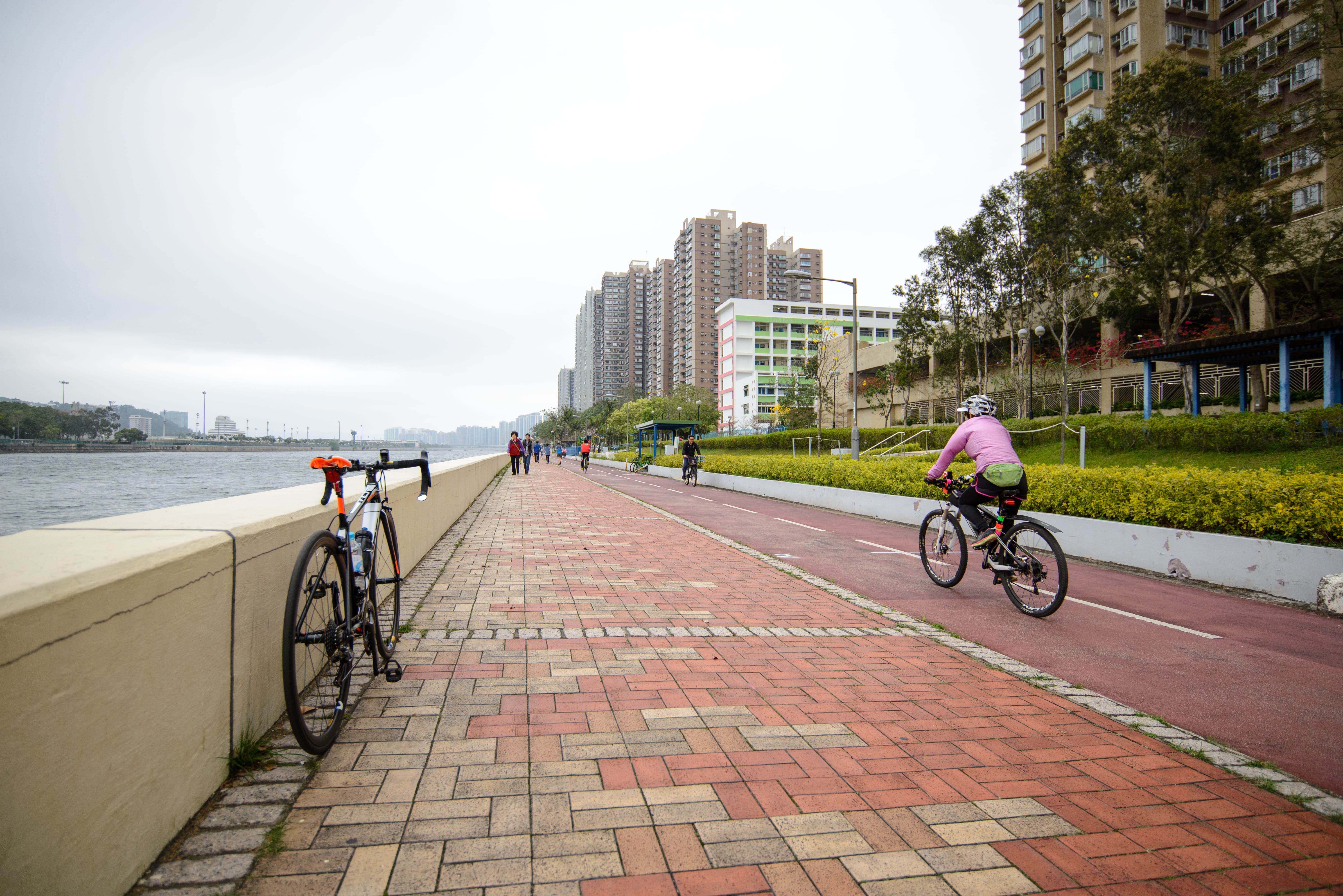 Shing Mun River Promenade opposite to the Jockey Club Shatin Race Course