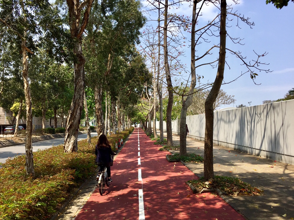 Bike path outside Policy Driving Training School next to Jockey Club Road