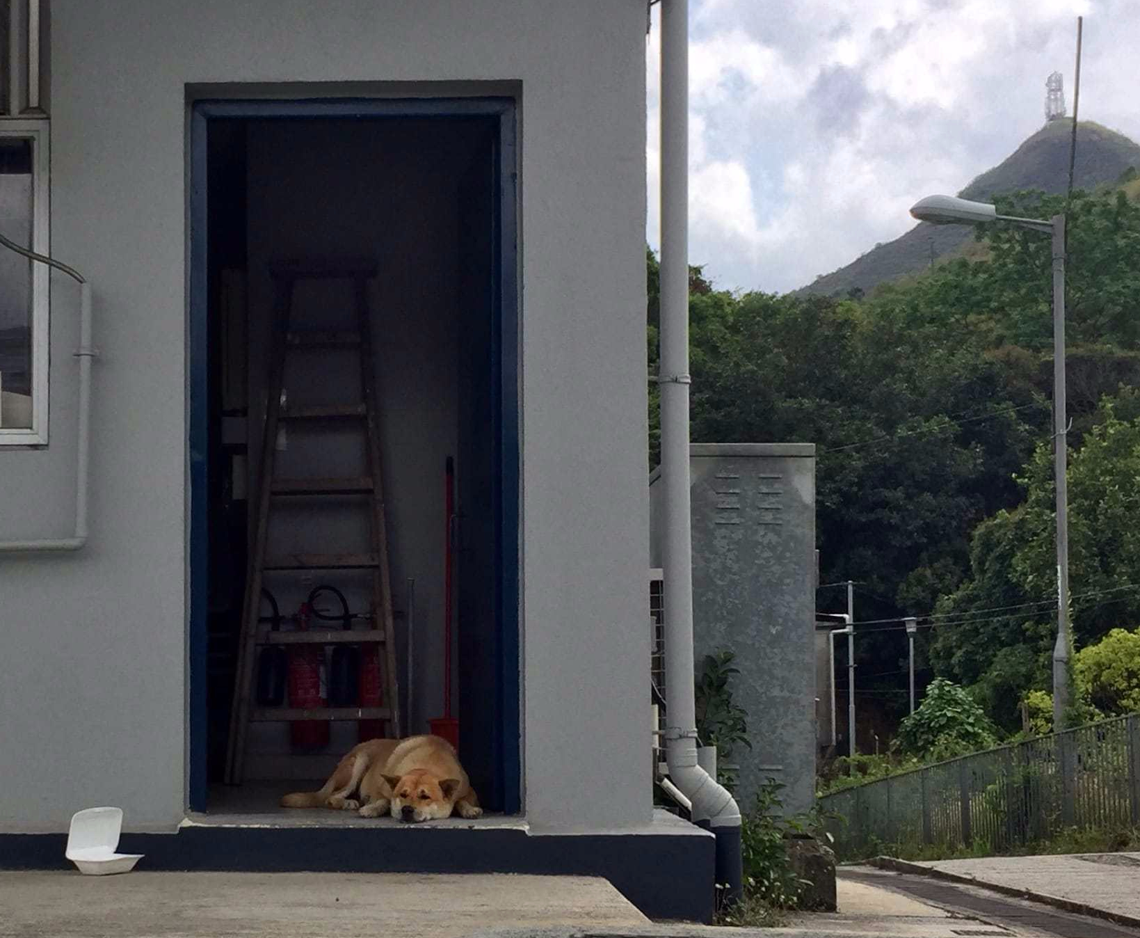 Mascot of the Police Post