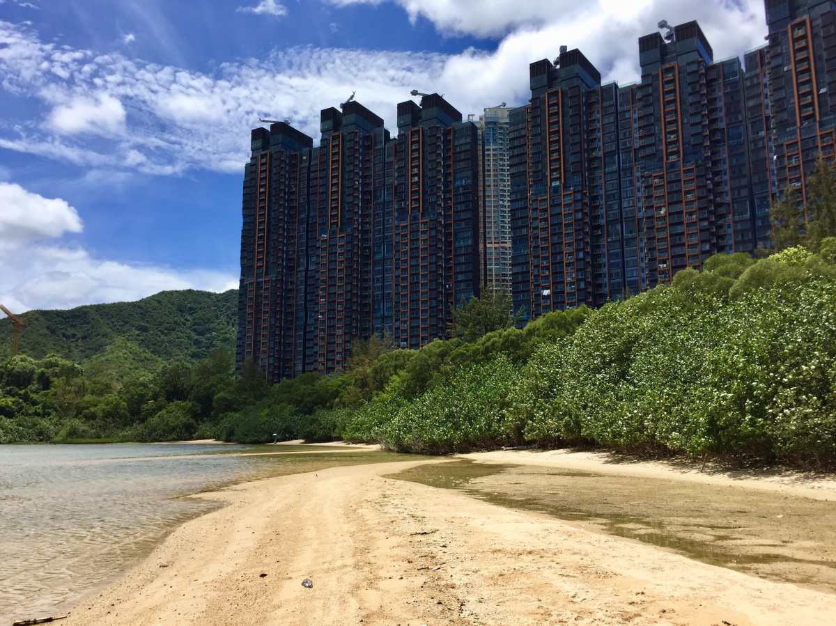 High rise luxury apartments next to the Starfish Bay