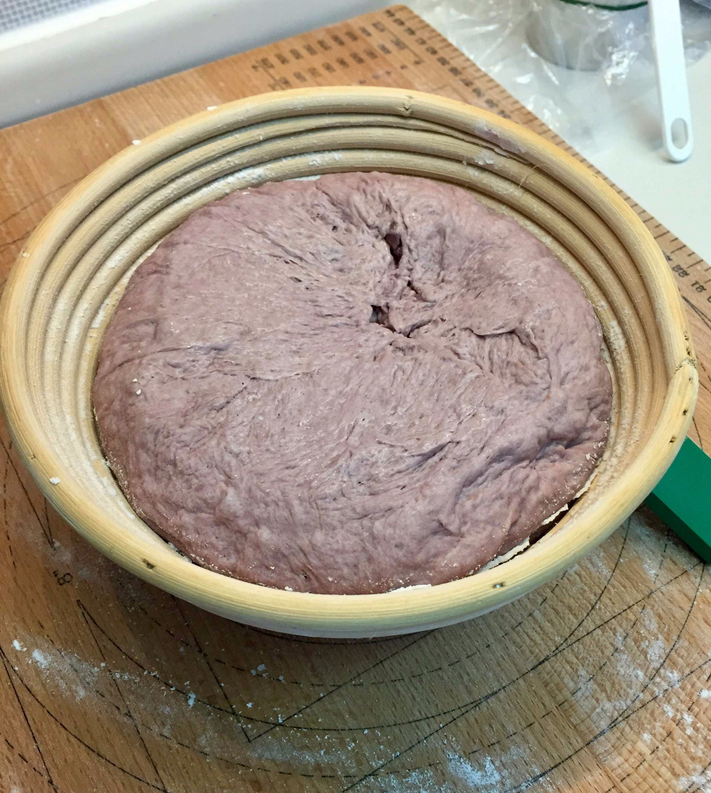 Main dough in proofing basket
