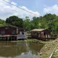 Cottage built on top of a pond near Ma Tso Lung Road