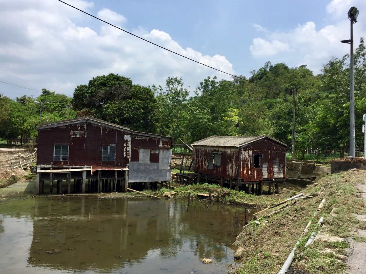 Cottage built on top of a pond near Ma Tso Lung Road