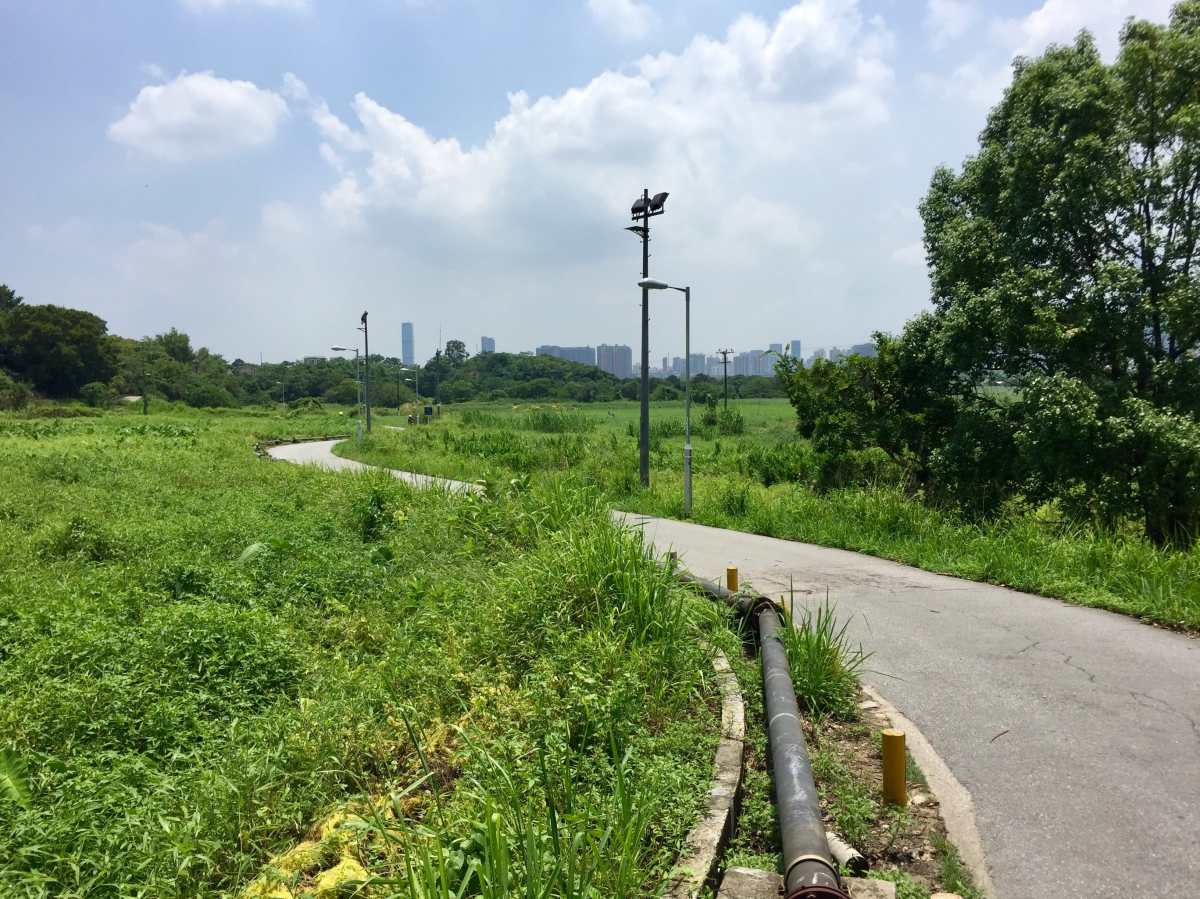 Traces of the fences along the old border road