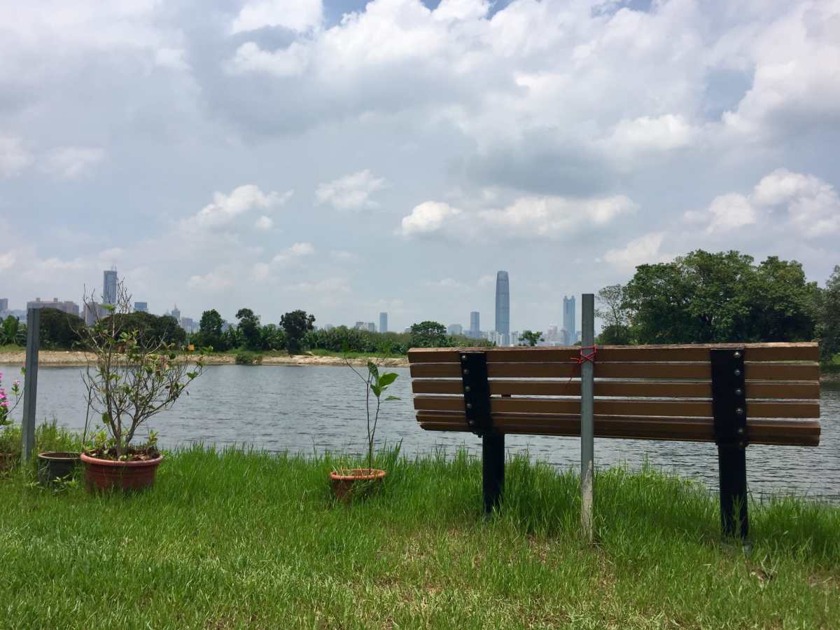 What a relaxing atmosphere at the Lotus Farm