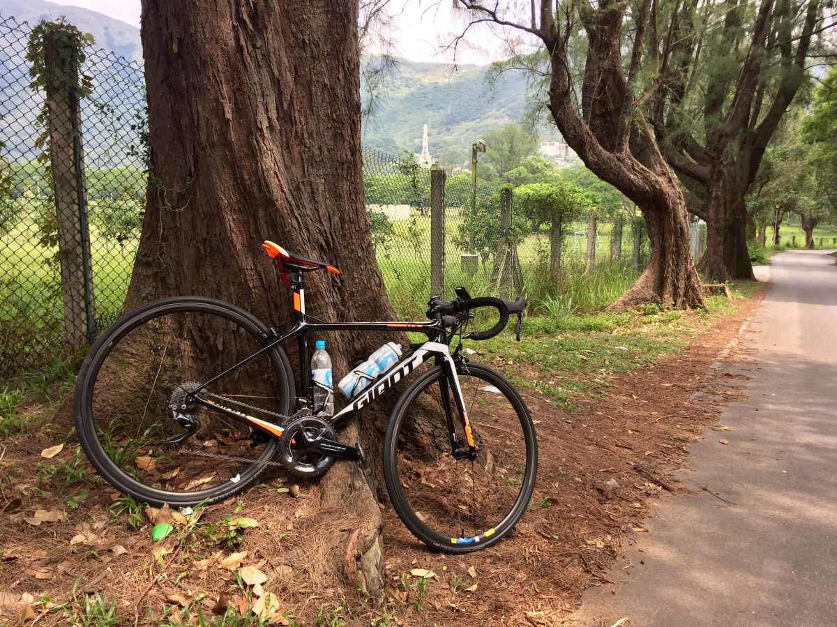 Descending the Shek Wu Wai Road with Tam Mei Barracks in the background