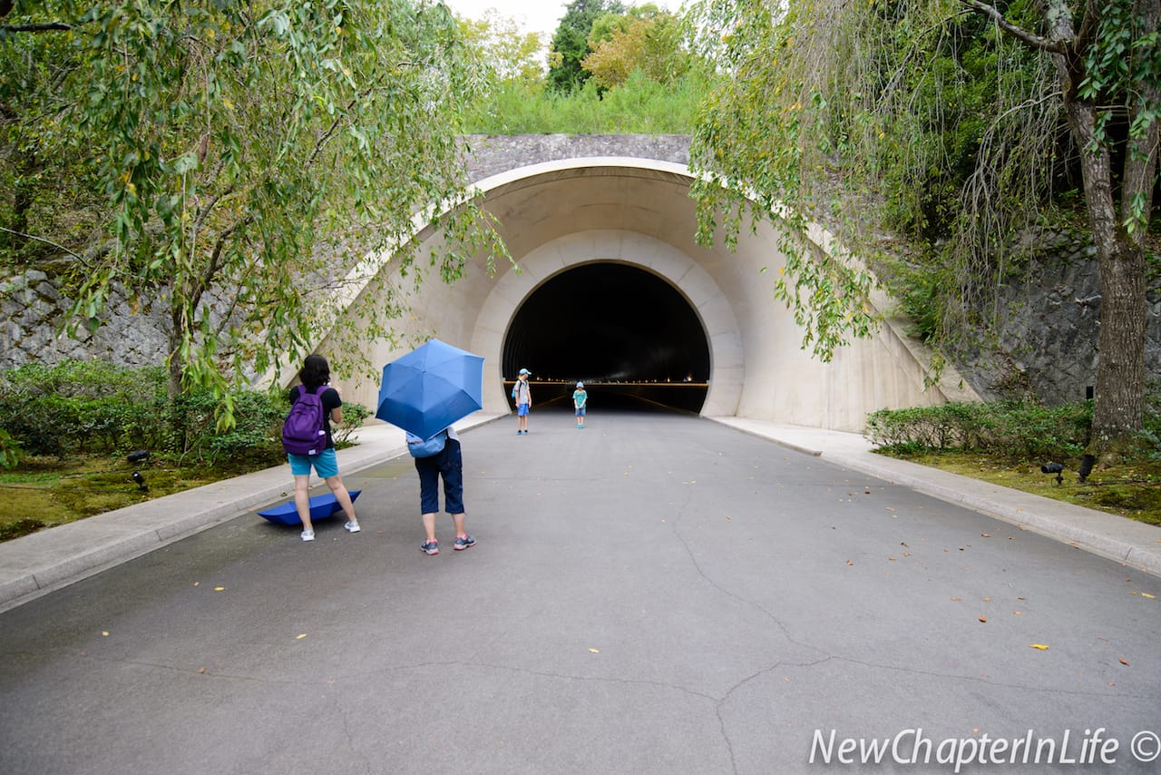 Boys posing in front of the tunnel
