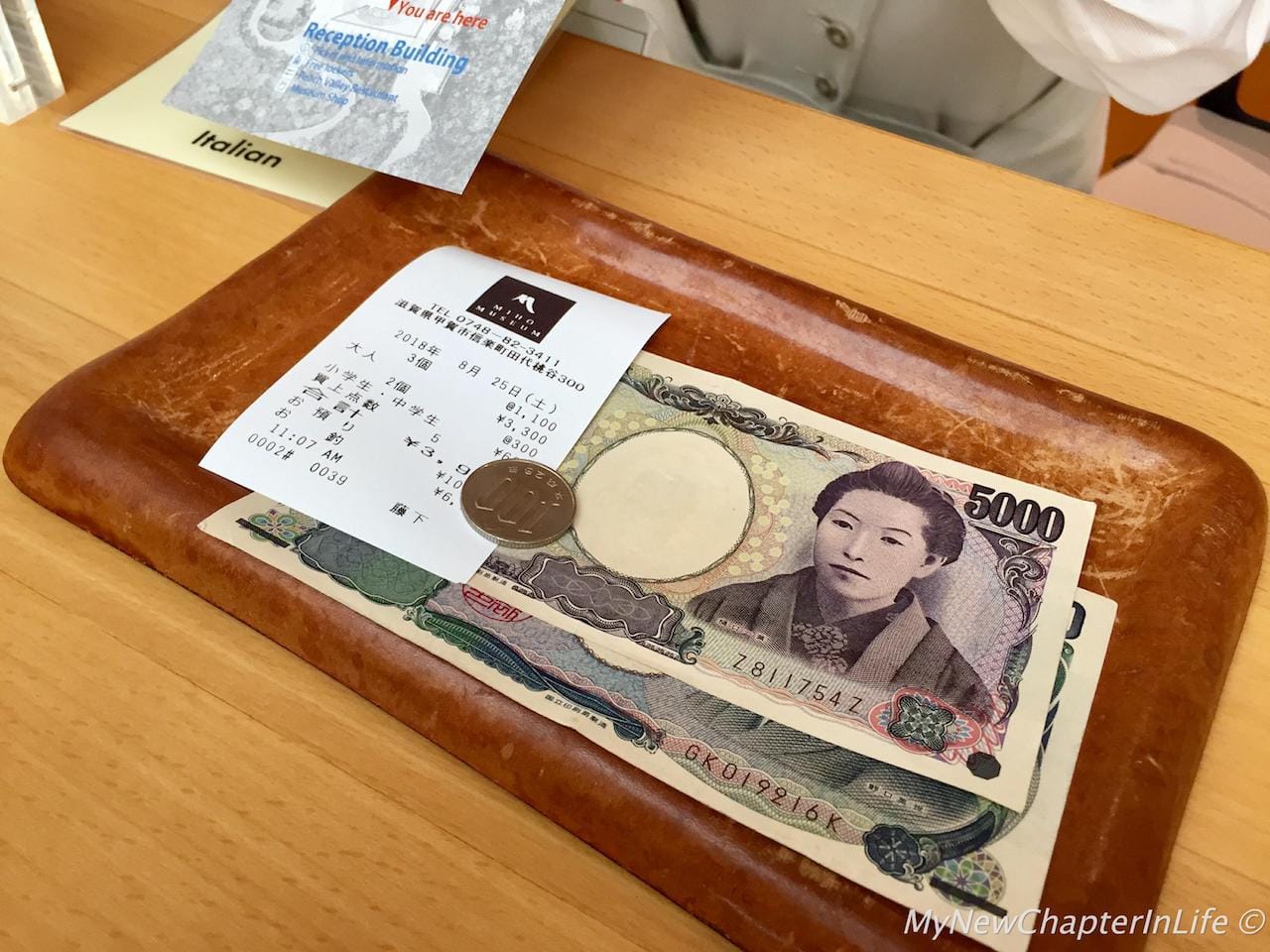 Paying the museum admission fees