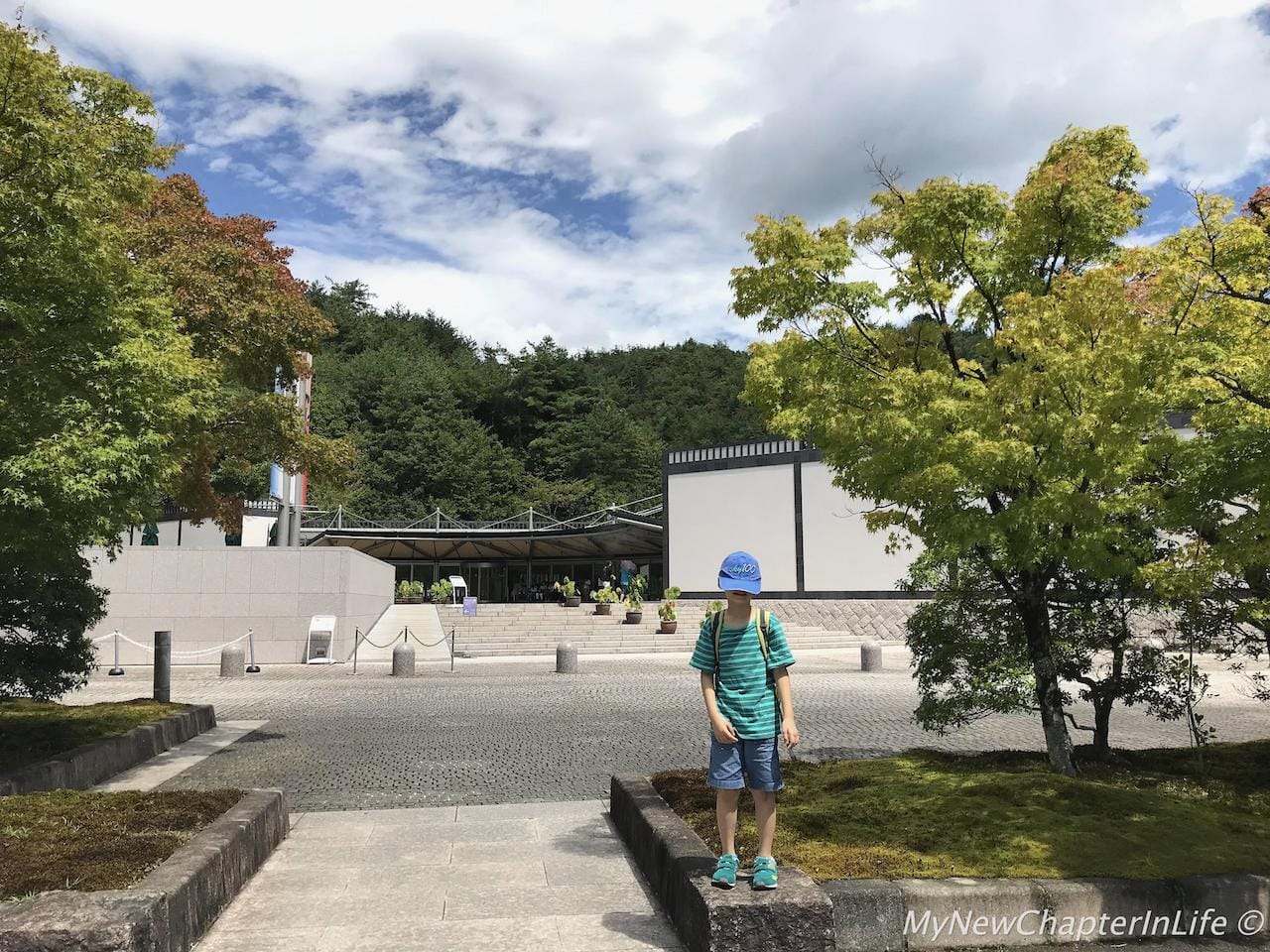 Reception pavilion looking from the museum carpark