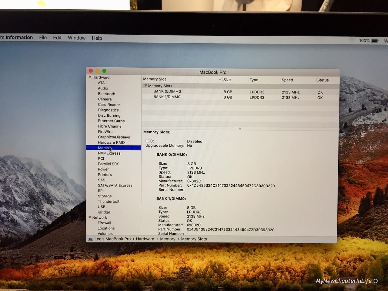 Installed Memory Chips