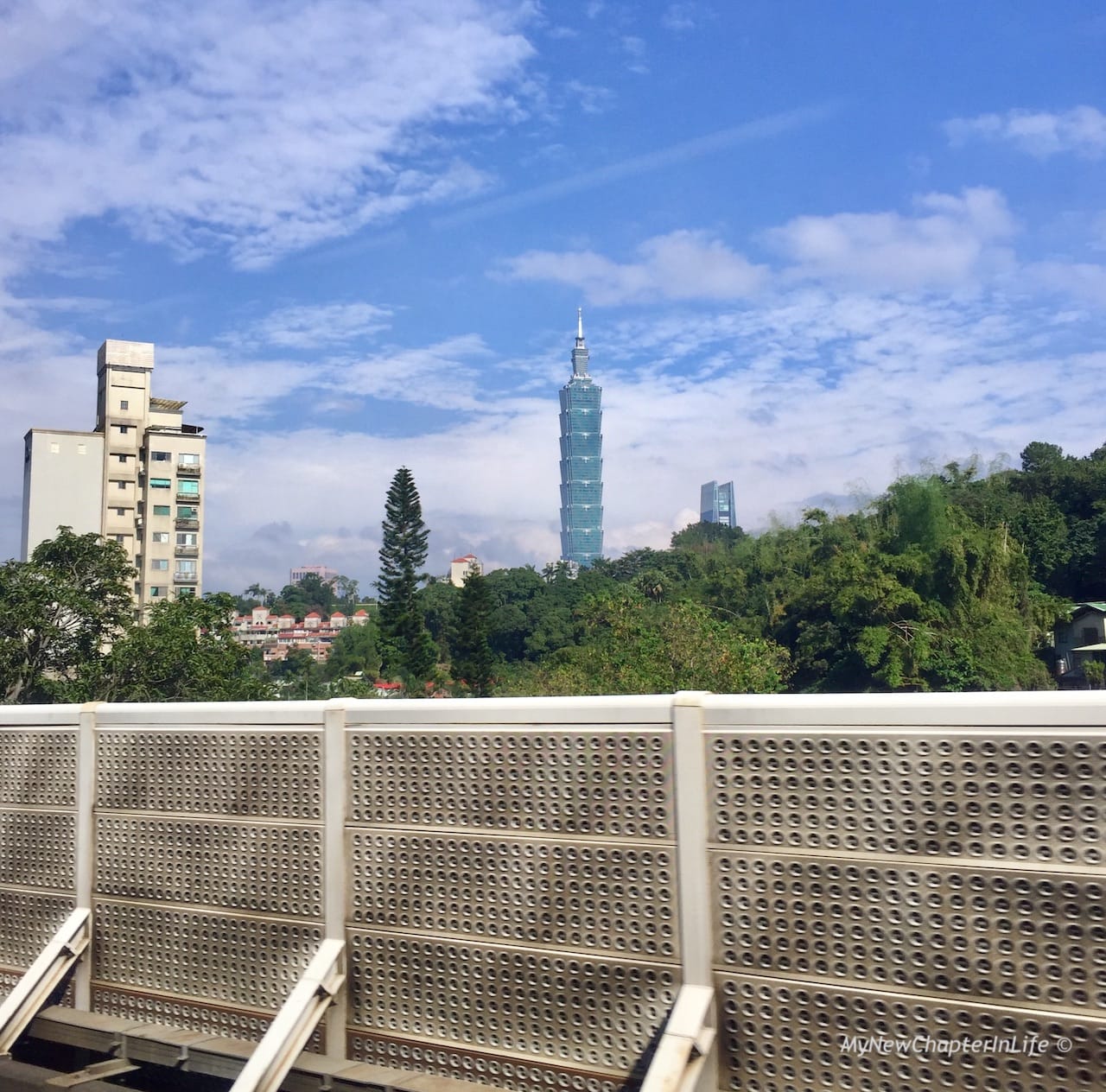 從㨗運文湖線上望向台北101大樓