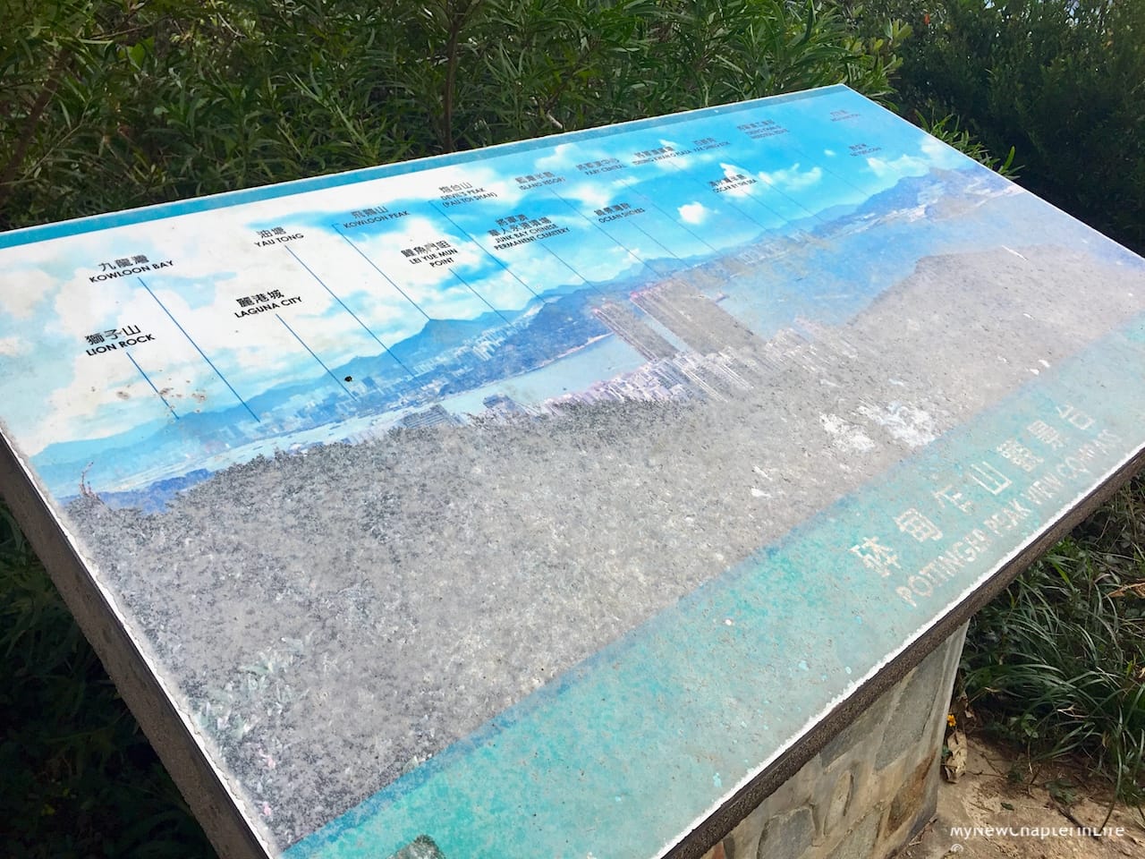 Pottinger Peak View Compass