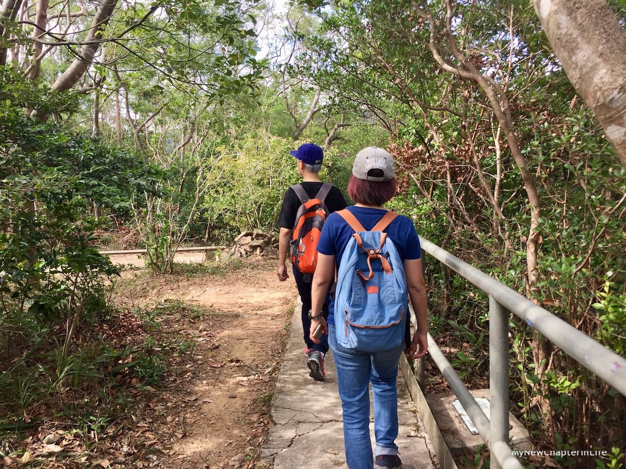 Continue with the downhill portion