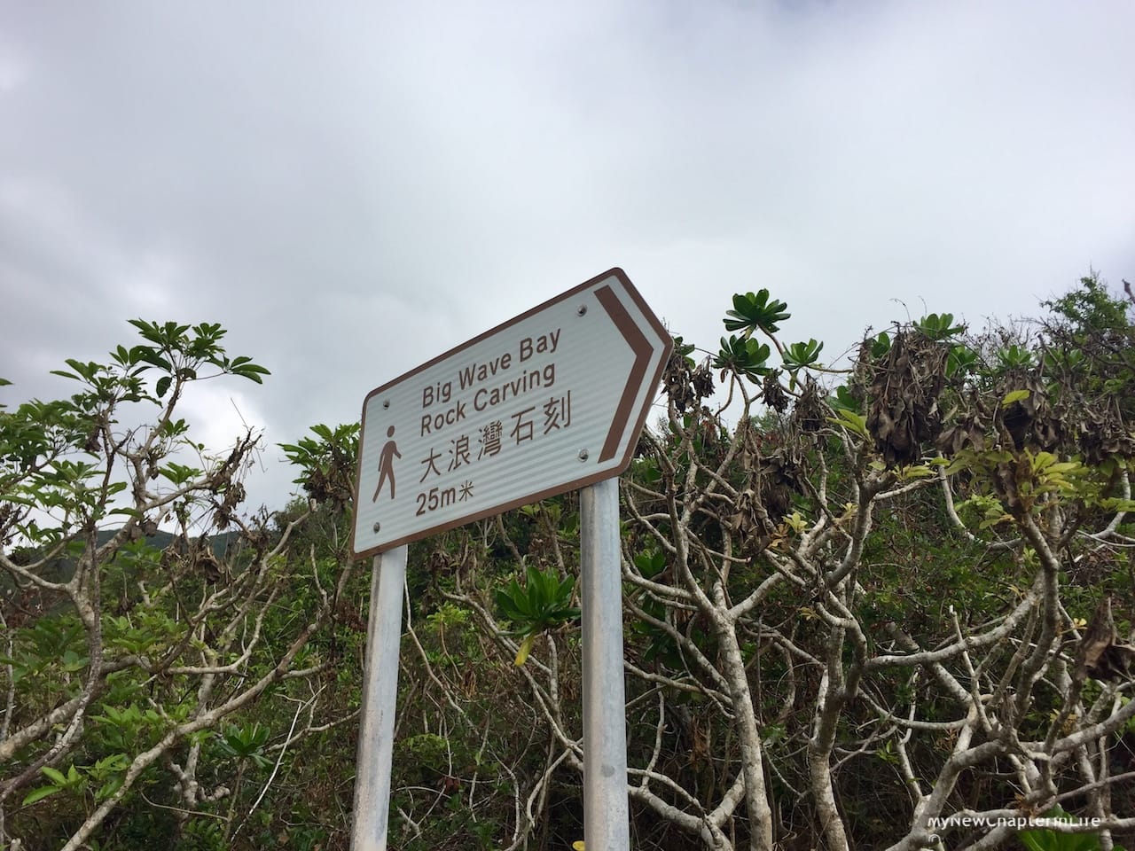 The Big Wave Bay Rock Carving