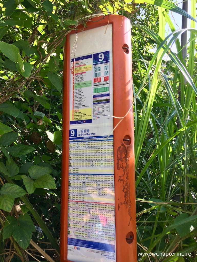 Public bus back to the city area