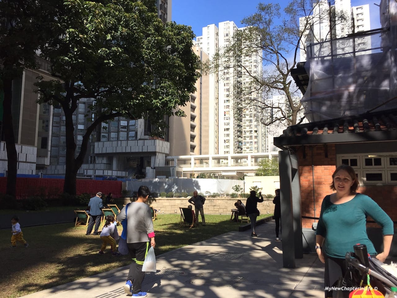 悠閒綠草地 Small plot of grassland for leisure