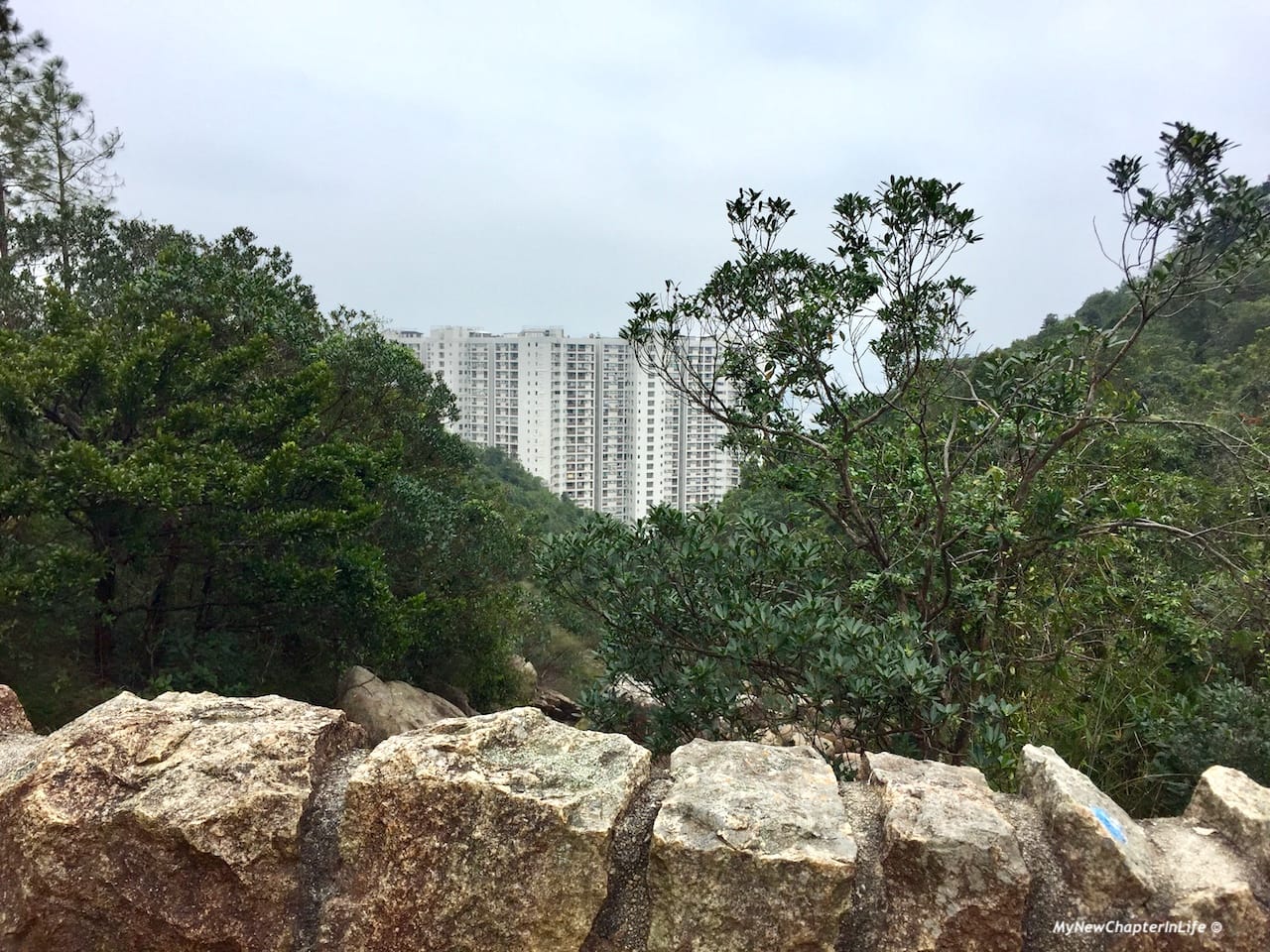 寶馬山上的高尚住宅 High class residential blocks in Braemar Hil