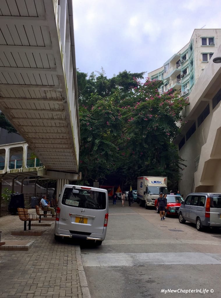 大潭郊野公園柏架山入口 Tai Tam Country Park Mount Parker Road Entrance