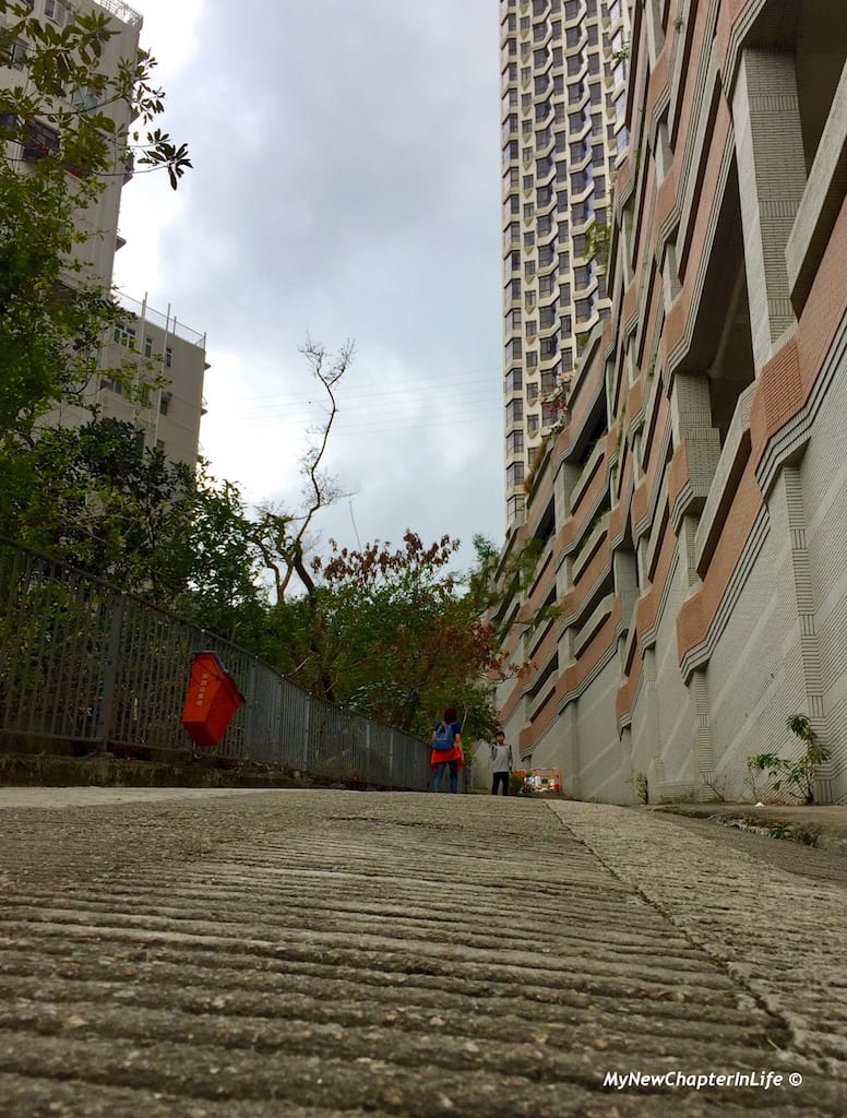 竹林苑傍灣仔自然徑的入口 Entrance of Wanchai Green Trail next to Bamboo Grove