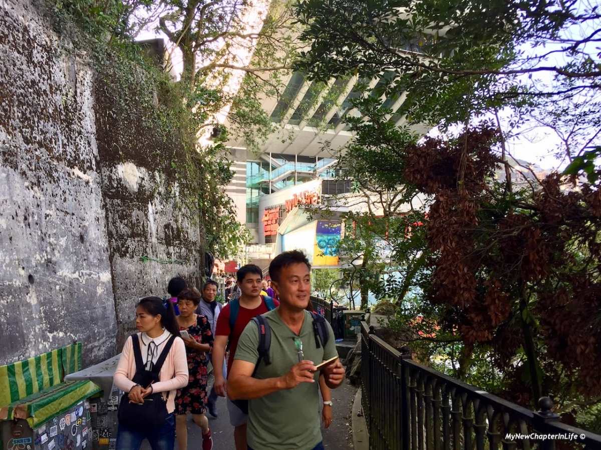 山頂旅客 Group of tourists